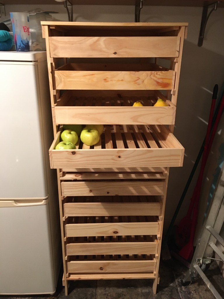 Already moving in with apples and quinces...